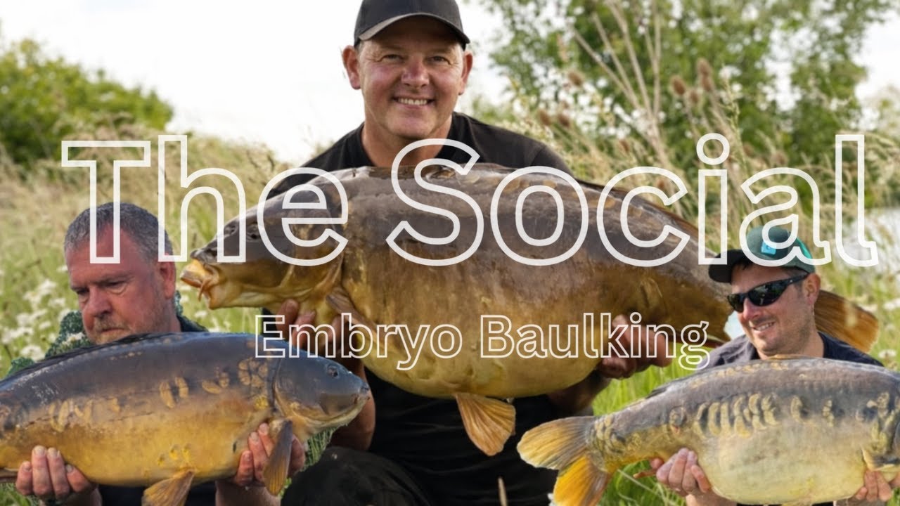 🎣💥The Big Carp Fishing Social Carp Green Embyro Baulking Lake #carpfishing #lakefishing