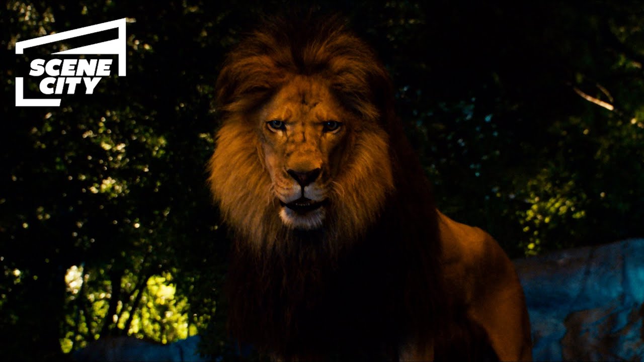 Animal&rsquo;s Secret Meeting | Zookeeper (2011)
