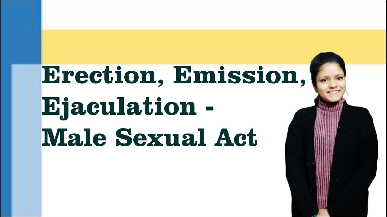 Erection, Emission, Ejaculation-Male Sexual Act Physiology I Male Reproductive Physiology