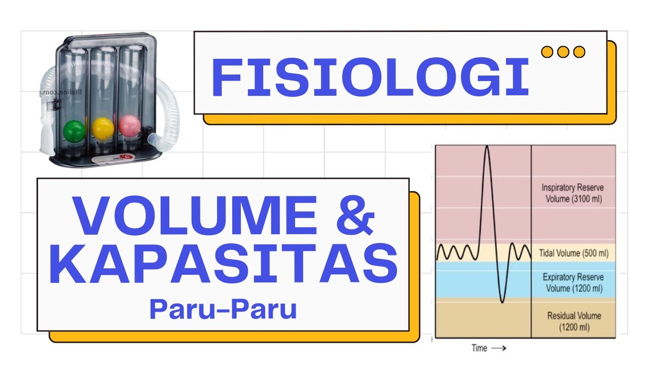 Volume & Kapasitas Paru-Paru (VC, IRV, ERV, TLC...) | Fisiologi Pernapasan 2