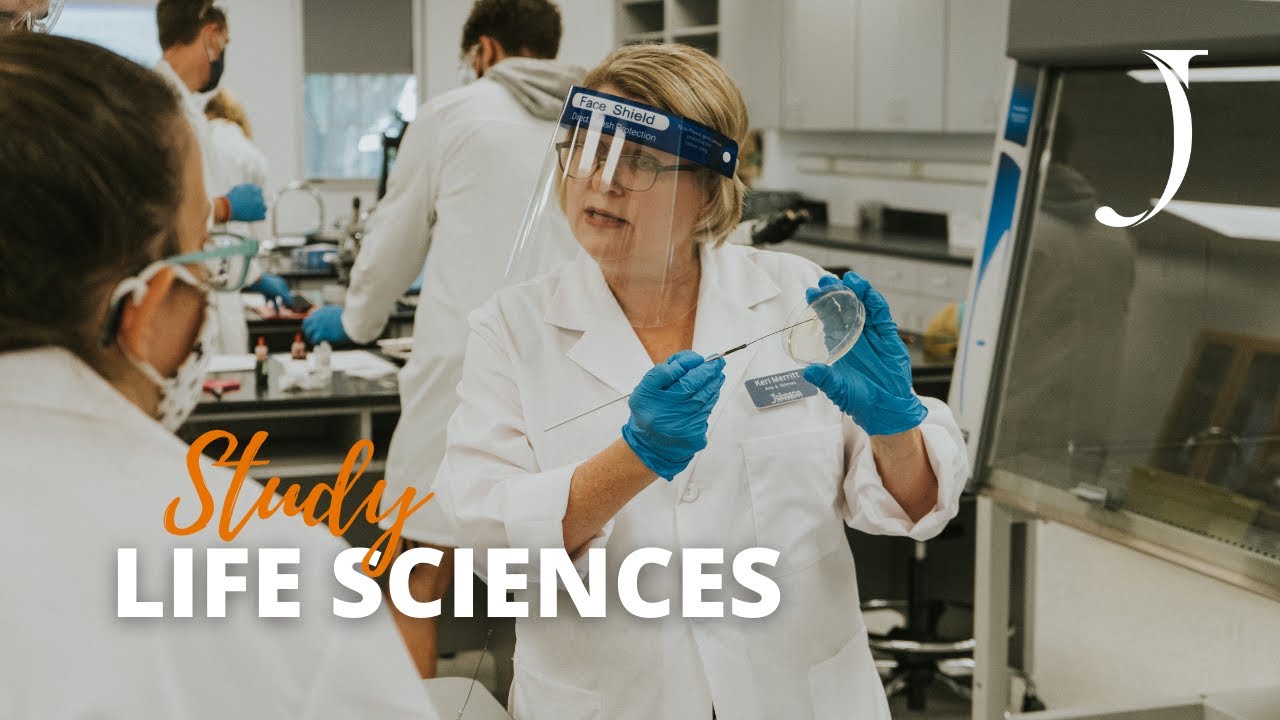 How to build a career in science