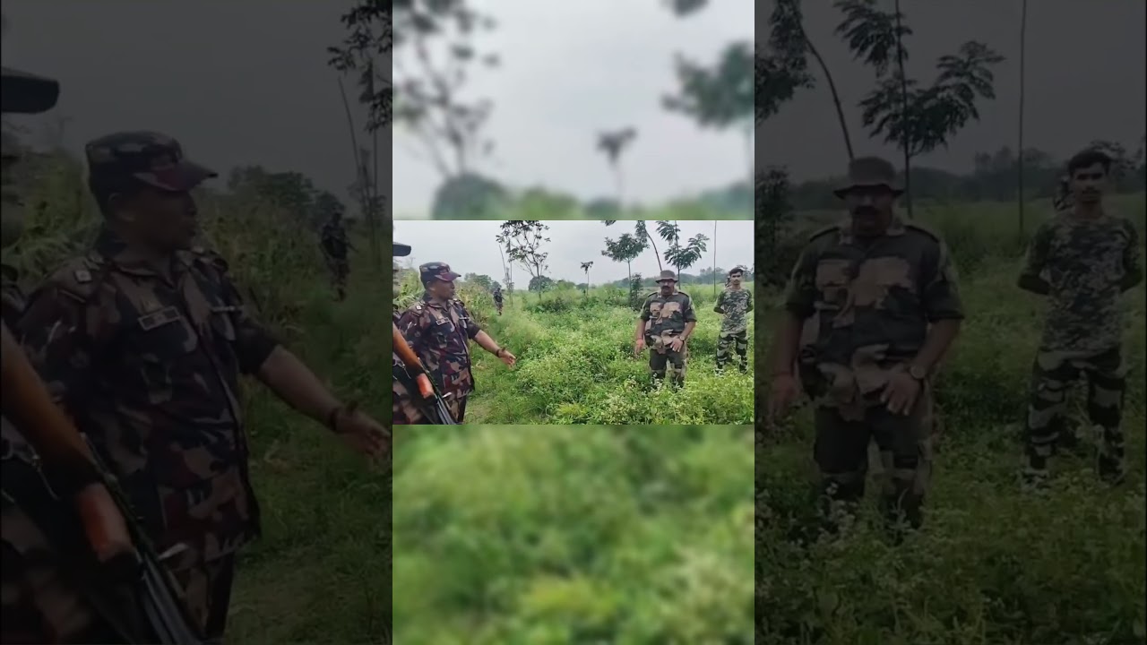 India Bangladesh Border #defencenews #indiandefence #indiabangladesh #shorts #warfaretoday