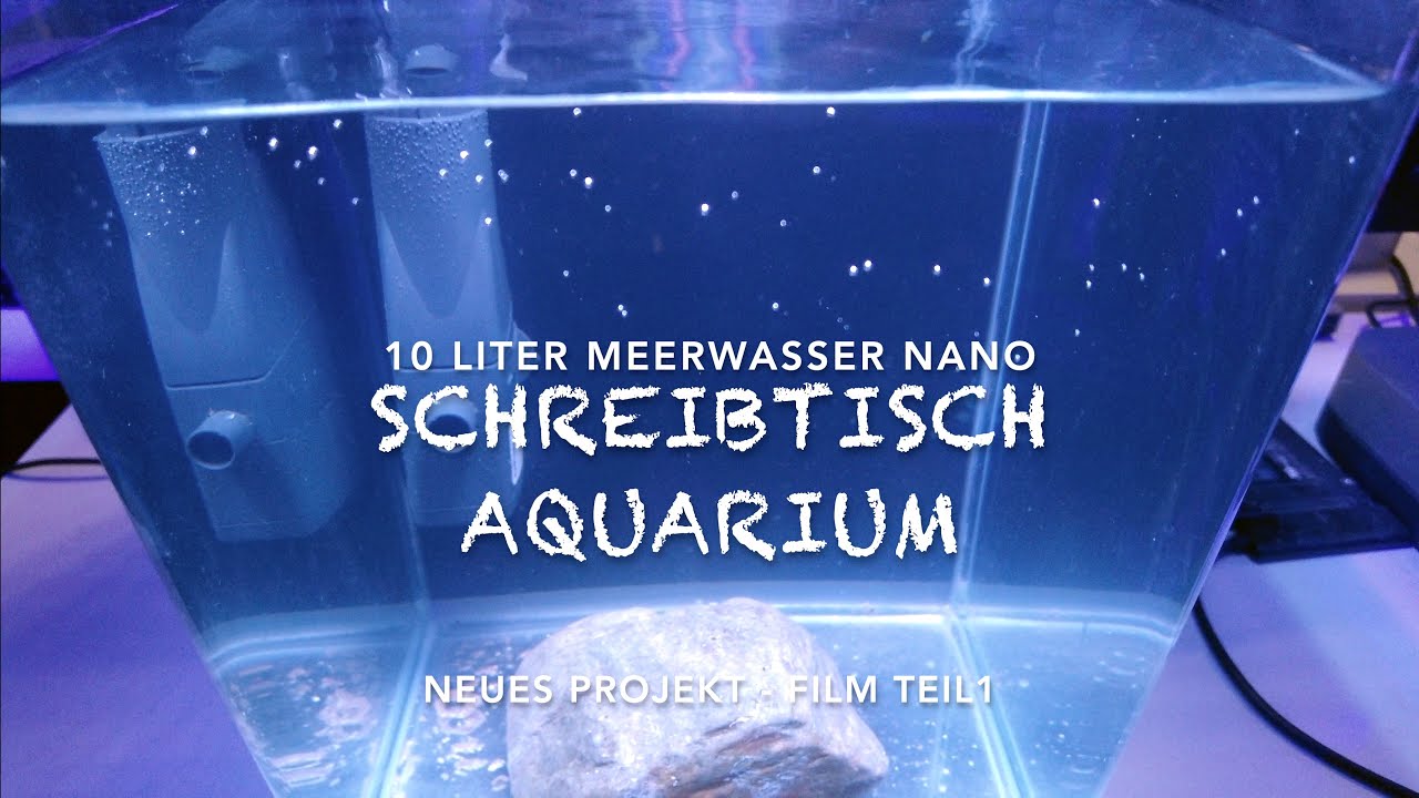 Schreibtisch B&uuml;ro Flying Riff Reef 10 Liter Tank Mini Ohne Filter Absch&auml;umer und Heizung G&uuml;nstig