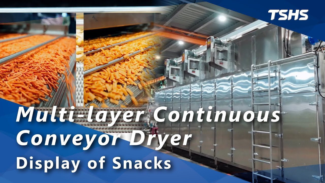 Multi-layer Continuous Conveyor Dryer｜Display of Snacks｜Tsunghsing(TSHS)