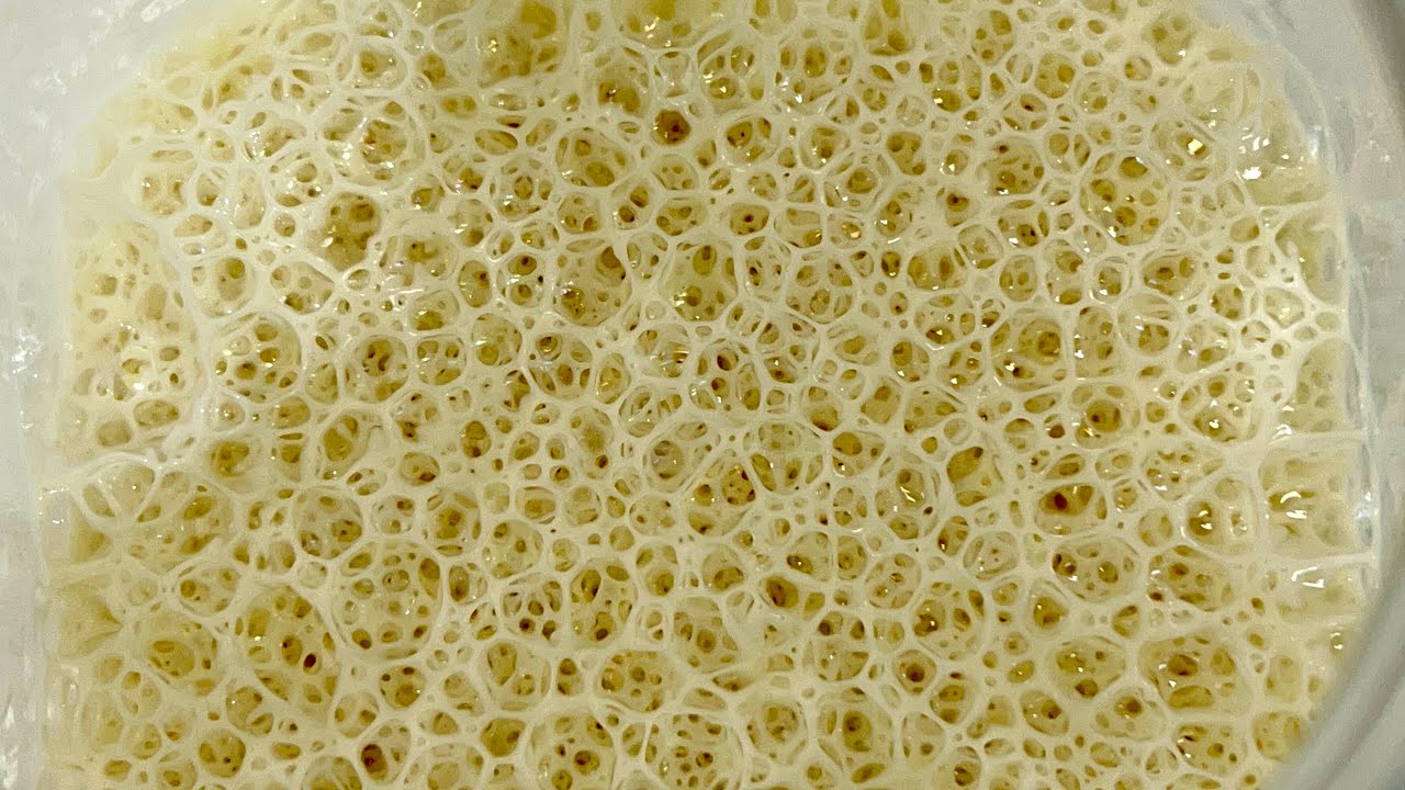 Air Infuse untuk membuat sourdough starter, Infuse water for sourdough starter