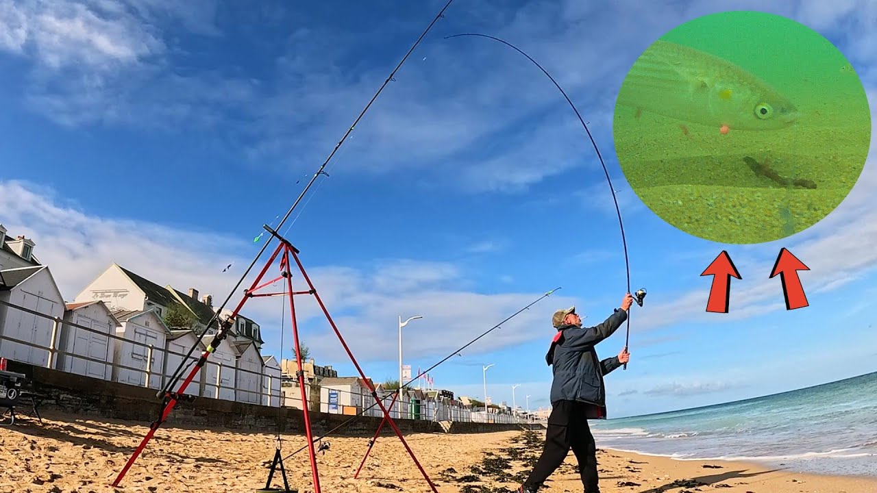 SURFCASTING et CAMERA sous MARINE ! PECHE en MER du BORD en NORMANDIE #fishing #fish #poisson