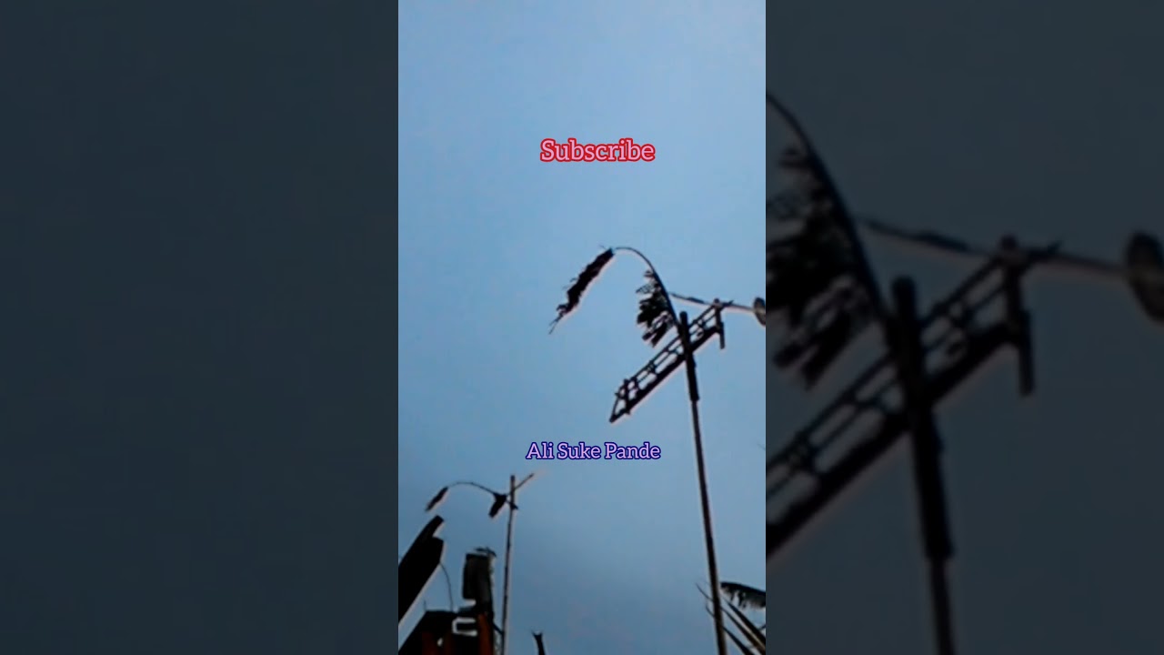 pindekan cungklik