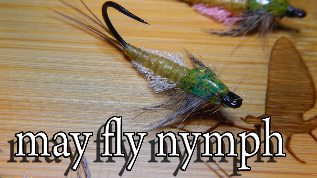 May fly nymph