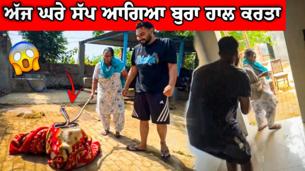 ਅੱਜ ਘਰੇ ਸੱਪ ਆਗਿਆ ਬੁਰਾ ਹਾਲ ਕਰਤਾ 🐍 ਗੋਪੀ ਨੇ ਮਾਸੀ ਬਿਓਸ਼ ਕਰਤੀ 😱 #manishoker #gopishoker #comedy