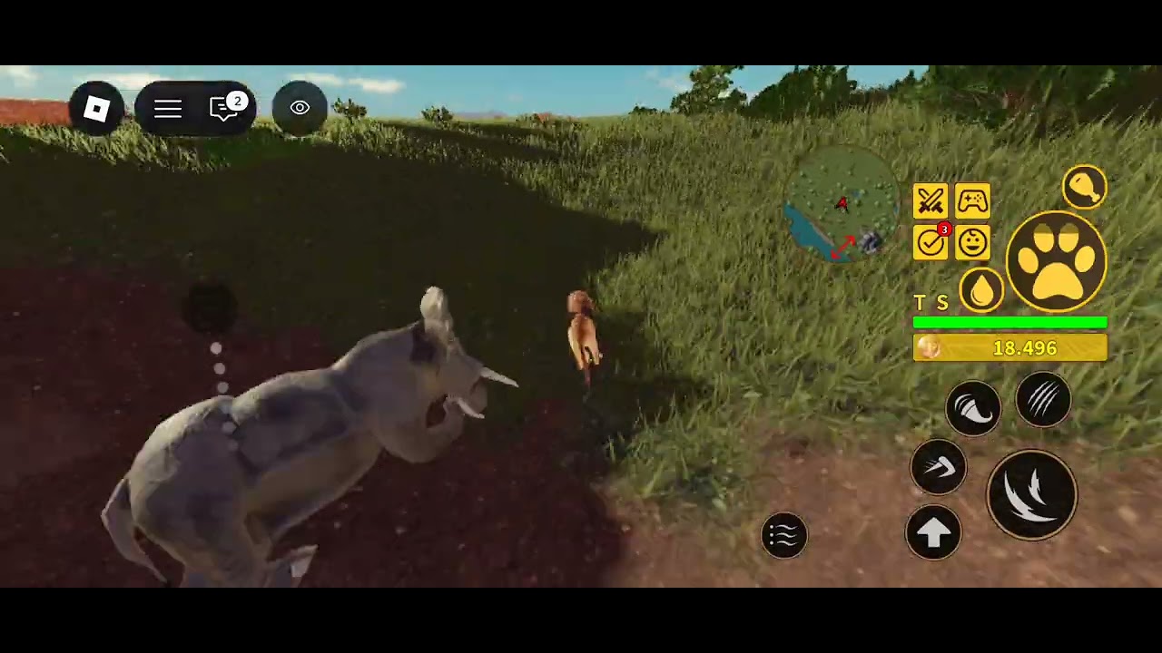 Sobrevivendo de leão no savana life Roblox 