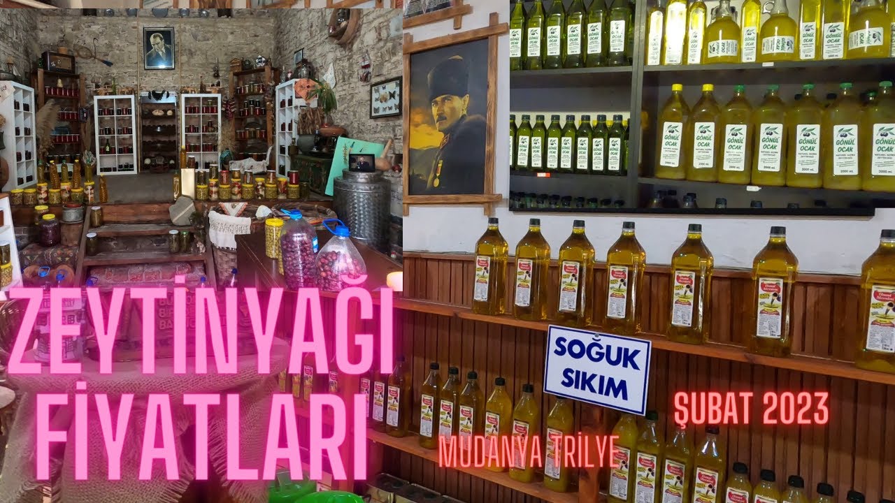 Üreticiden Zeytinyağı Fiyatları (Şubat 2023) | Mudanya Trilye | Sızma | Polat zeytinyağ makinesi