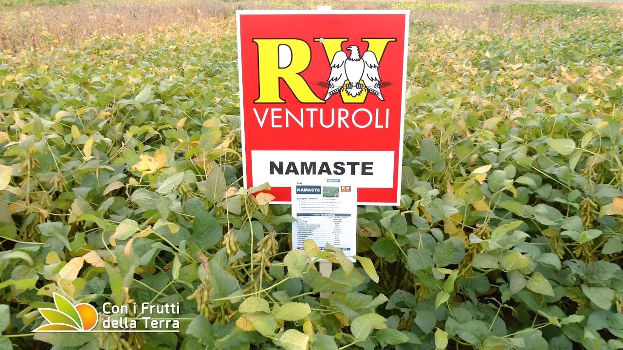 Soia RV Venturoli: filiera italiana