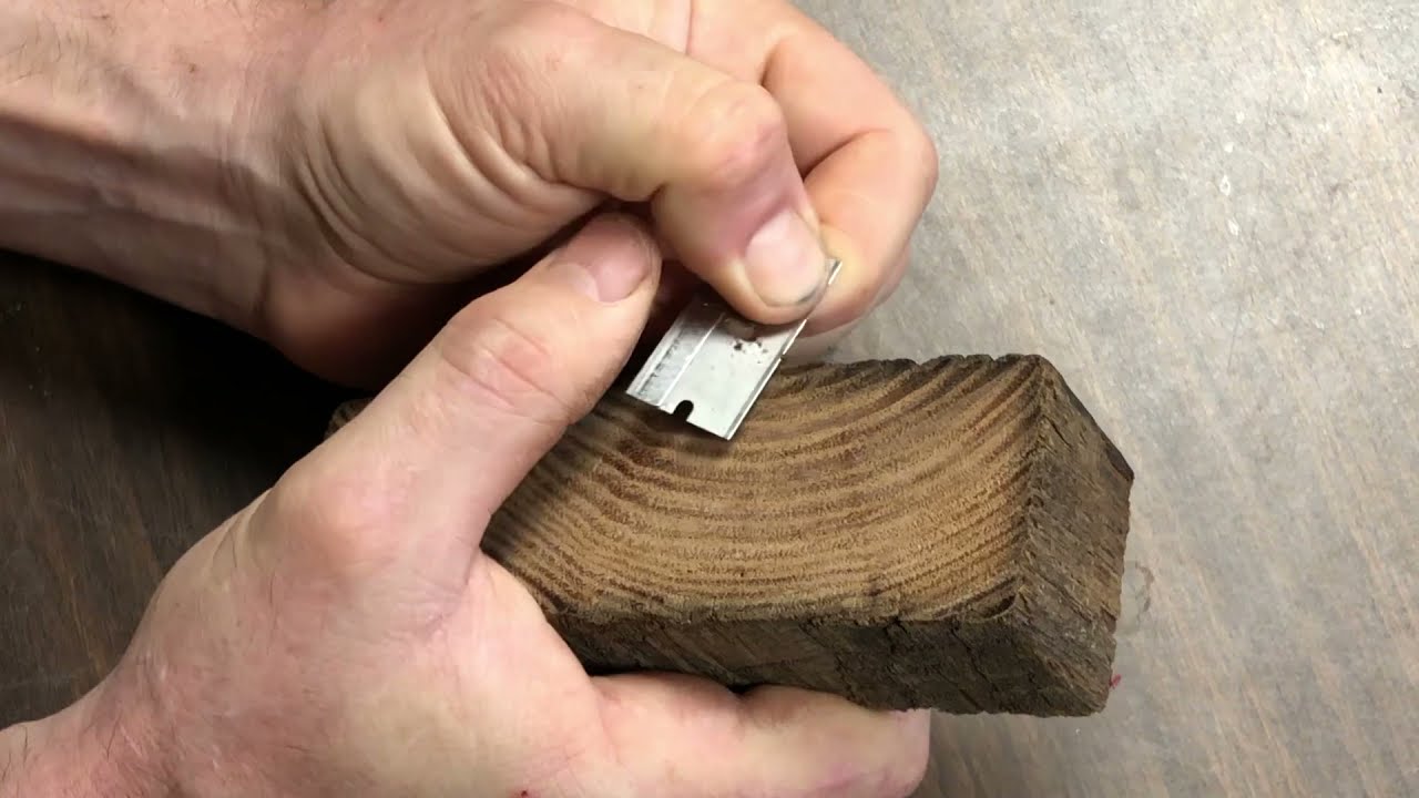 American chestnut wood identification