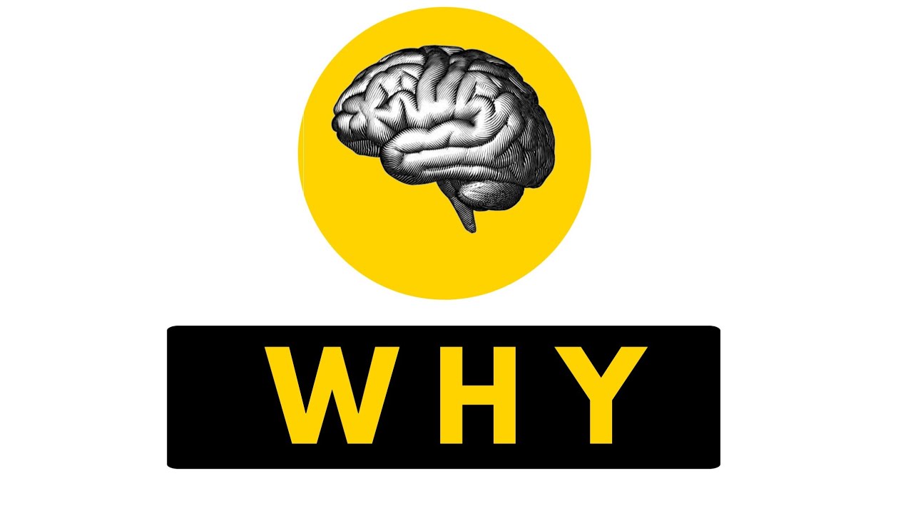 43. Why does mind take such decisions ? मन ऐसे decisions क्यों लेता है ? Zenyoga in hindi