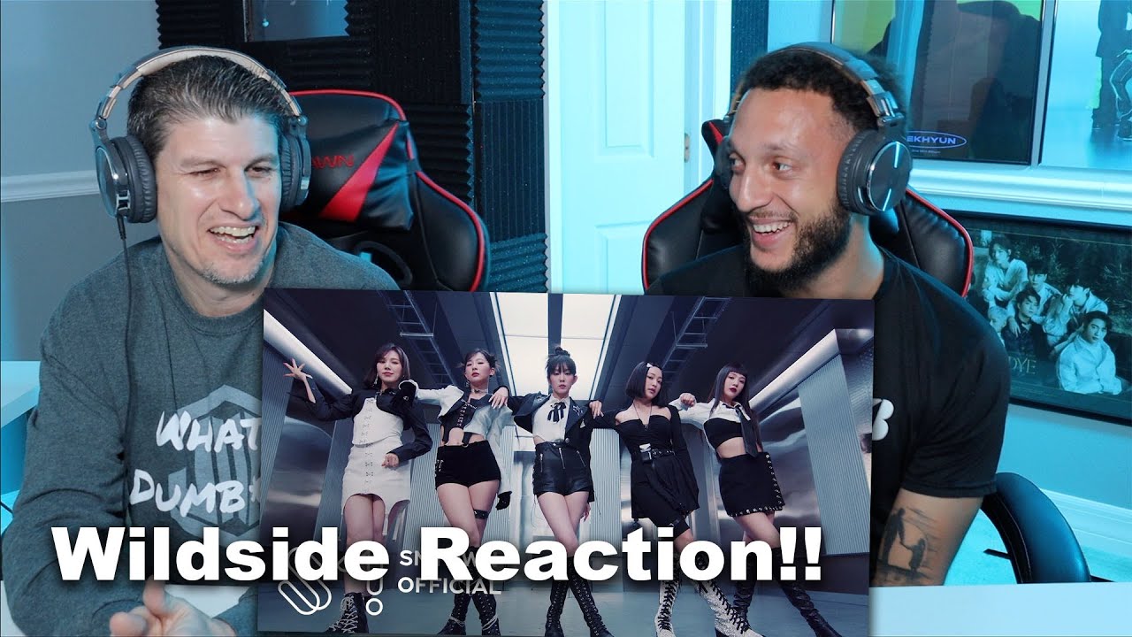 Best Reaction!! Red Velvet レッドベルベット 'WILDSIDE' MV