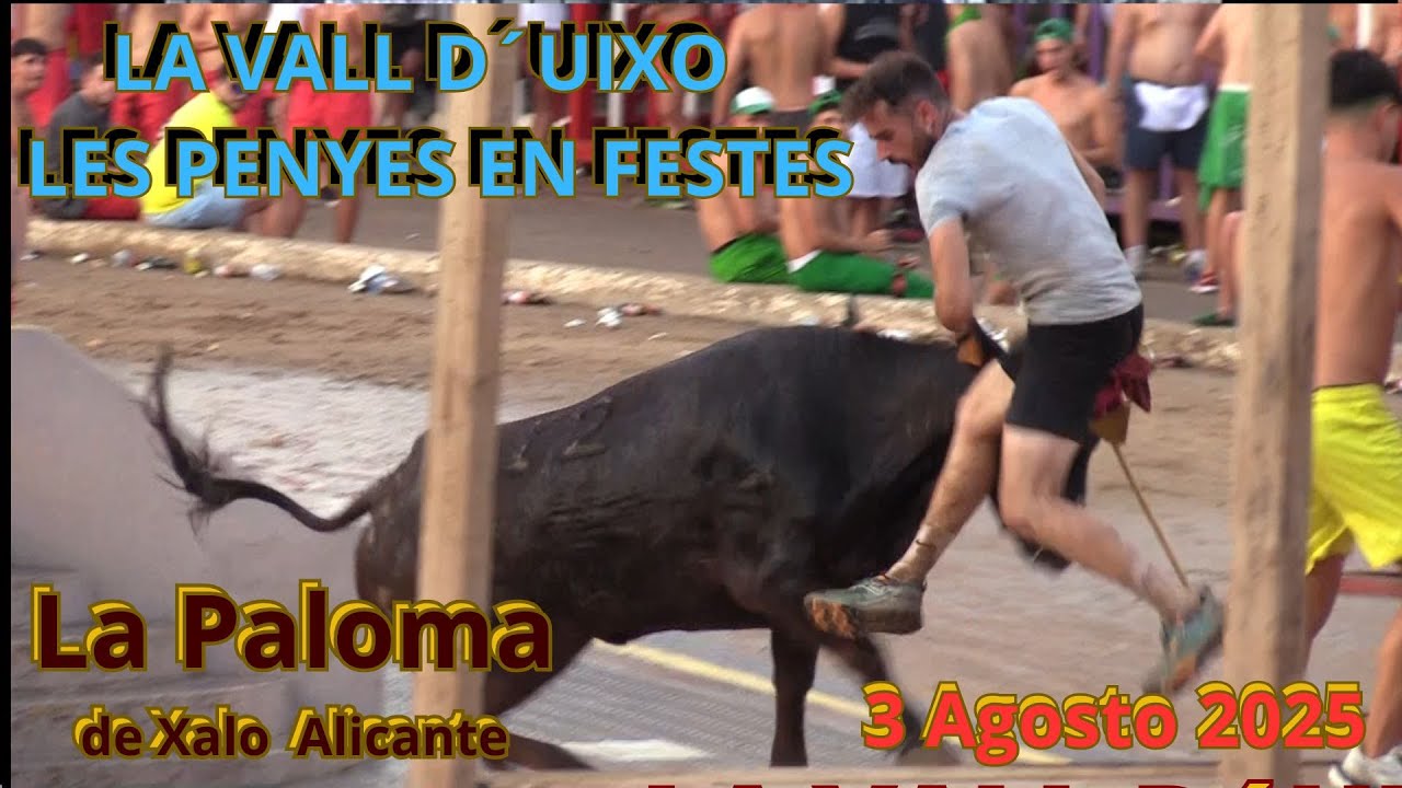2025 08 03 LA VALL D UIXO LES PENYES CONCURSO LA PALOMA