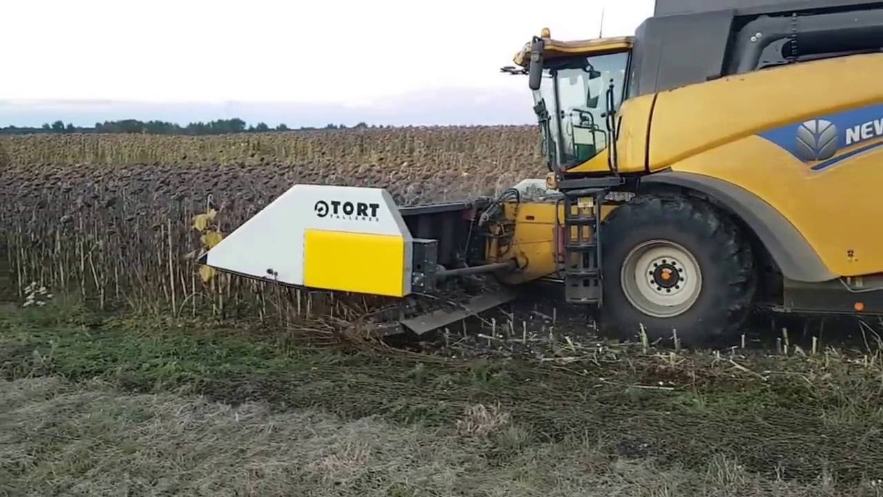 Coupe tournesol TORT LEROCH-DISTRIBUTION
