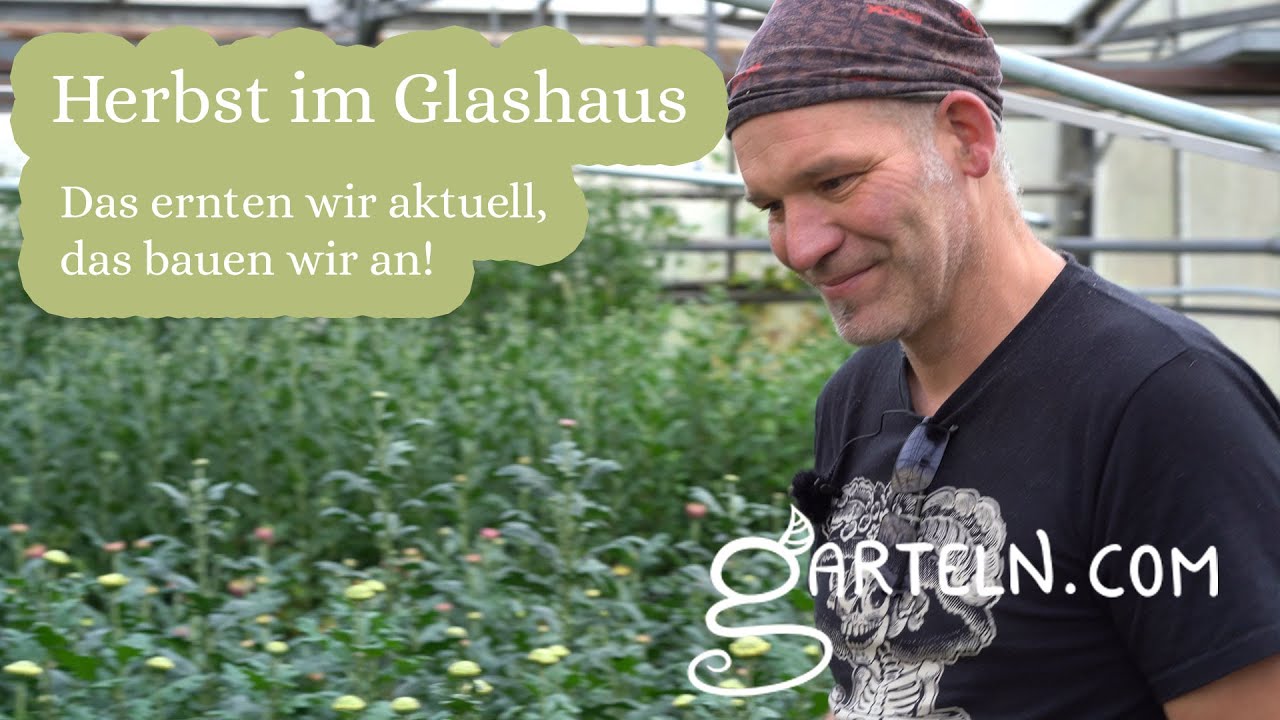Herbst im Glashaus - die letzte Gemüseernte & Vorbereitungen für Winter und Frühling