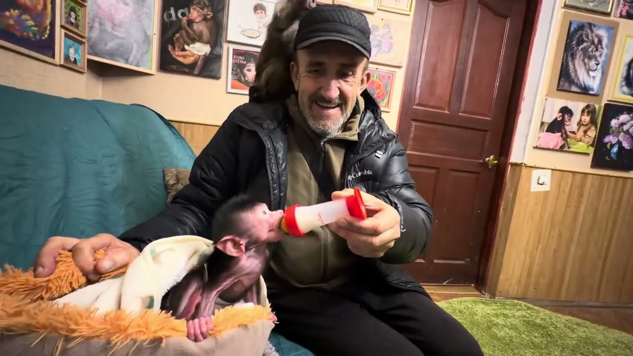 Финик РЕВНУЕТ меня со страшной силой к Николь😁