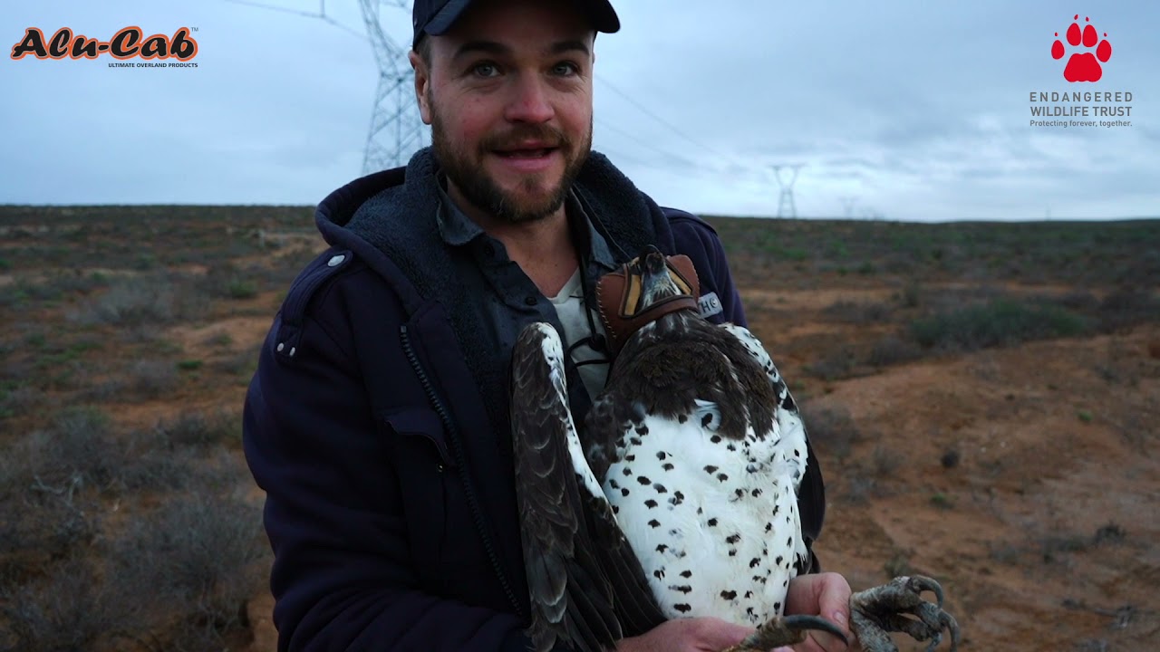 Conserving South Africa's 