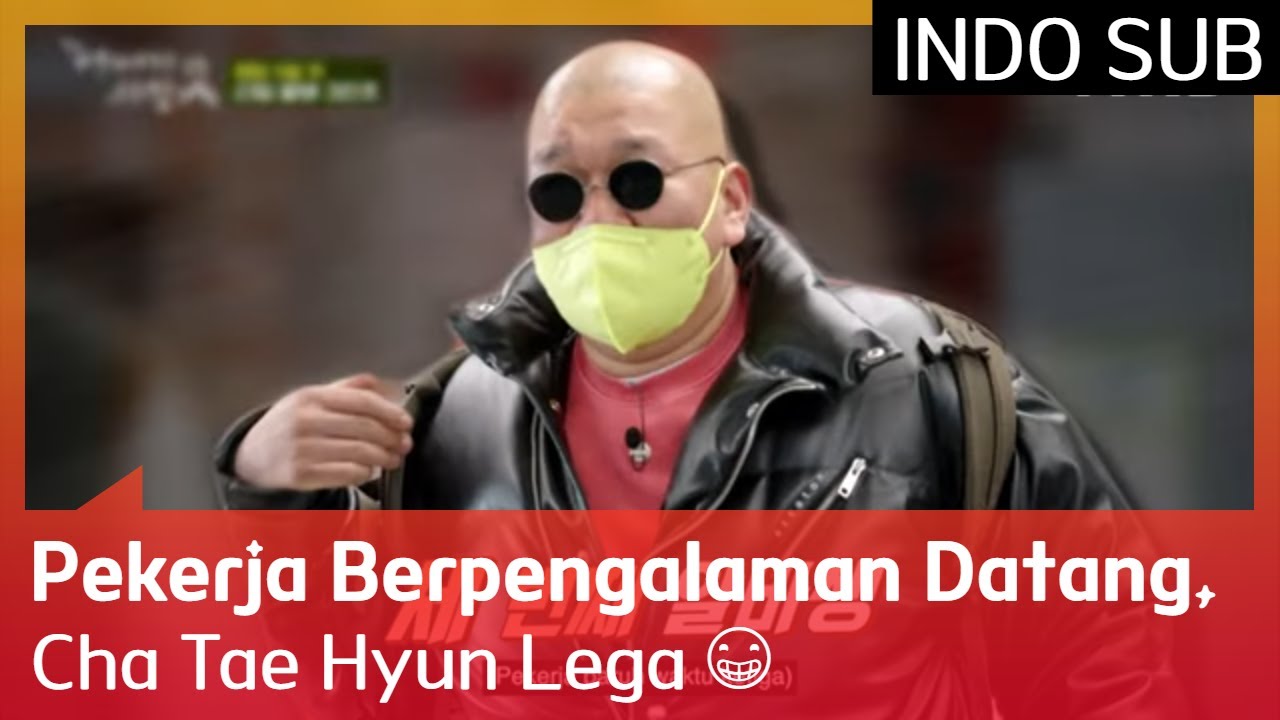 Pekerja Berpengalaman Datang, Cha Tae Hyun Lega 😁 #UnexpectedBusiness2 🇮🇩INDO SUB🇮🇩