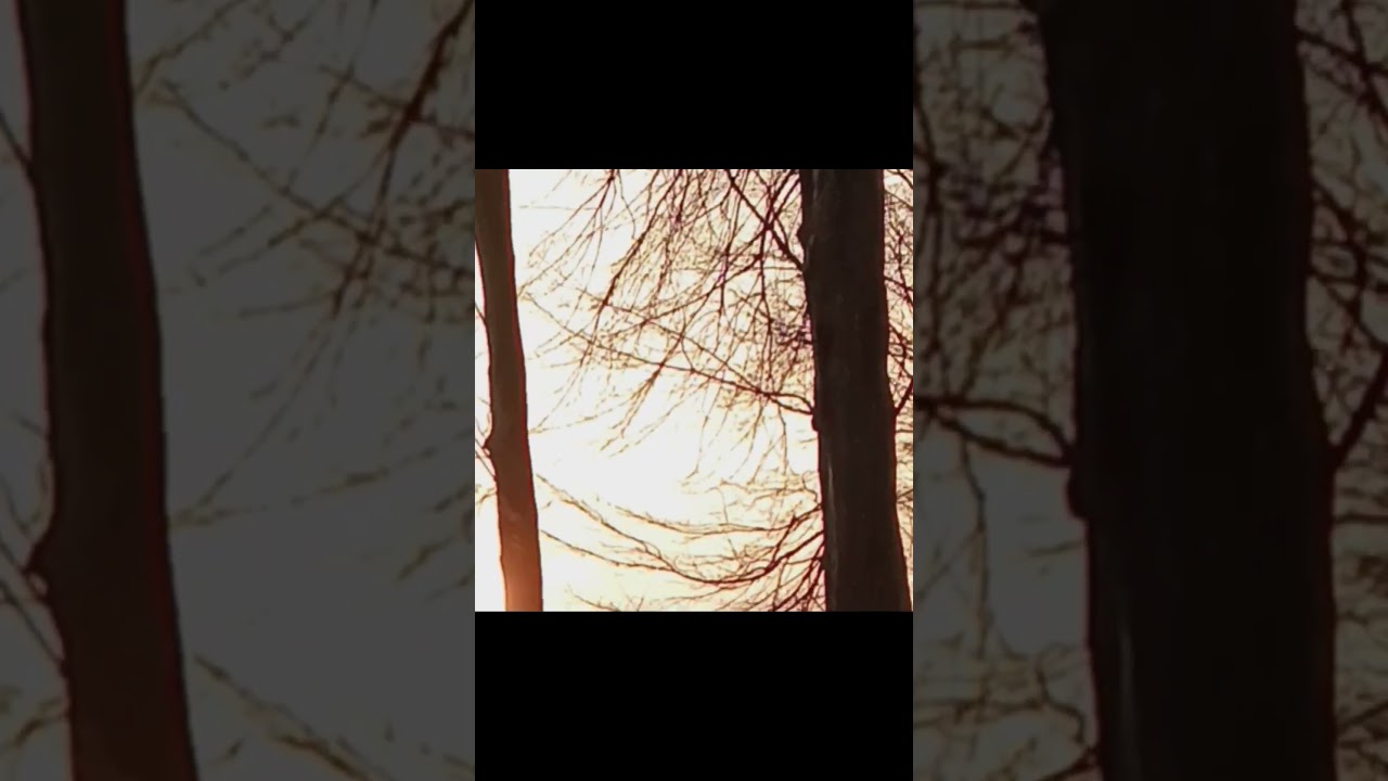 Zonsondergang