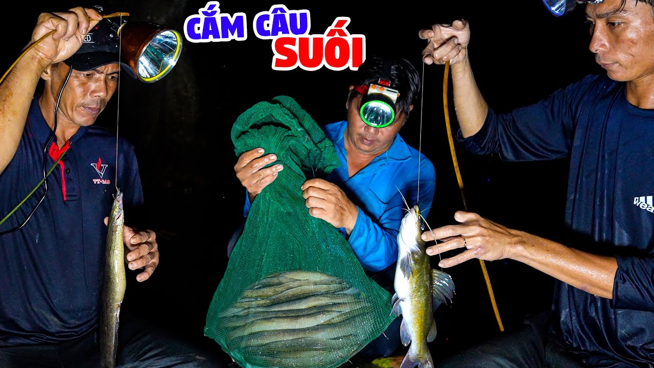 Cắm Câu Cá Lăng, Cá Chạch Lấu - Giăng Lưới Giữa Rừng Đồng Nai
