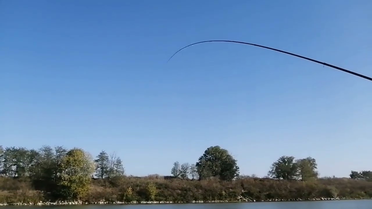 pesca fiume po 🎣