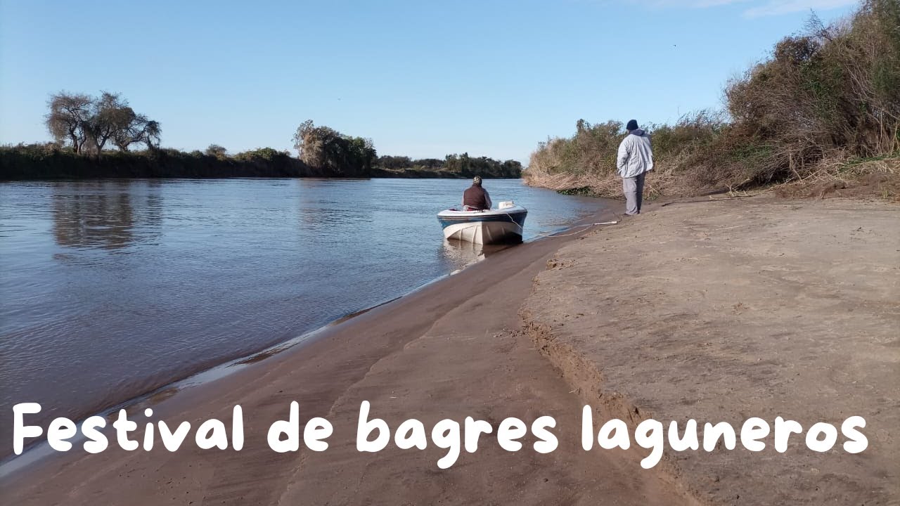 PESCA DE BAGRES LAGUNEROS EN PUERTO LAS CUEVAS ENTRE RIOS