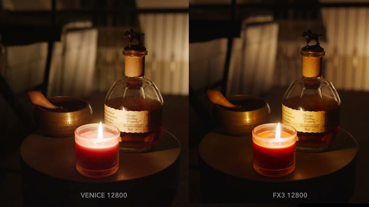 Sony VENICE vs FX3 Image Test