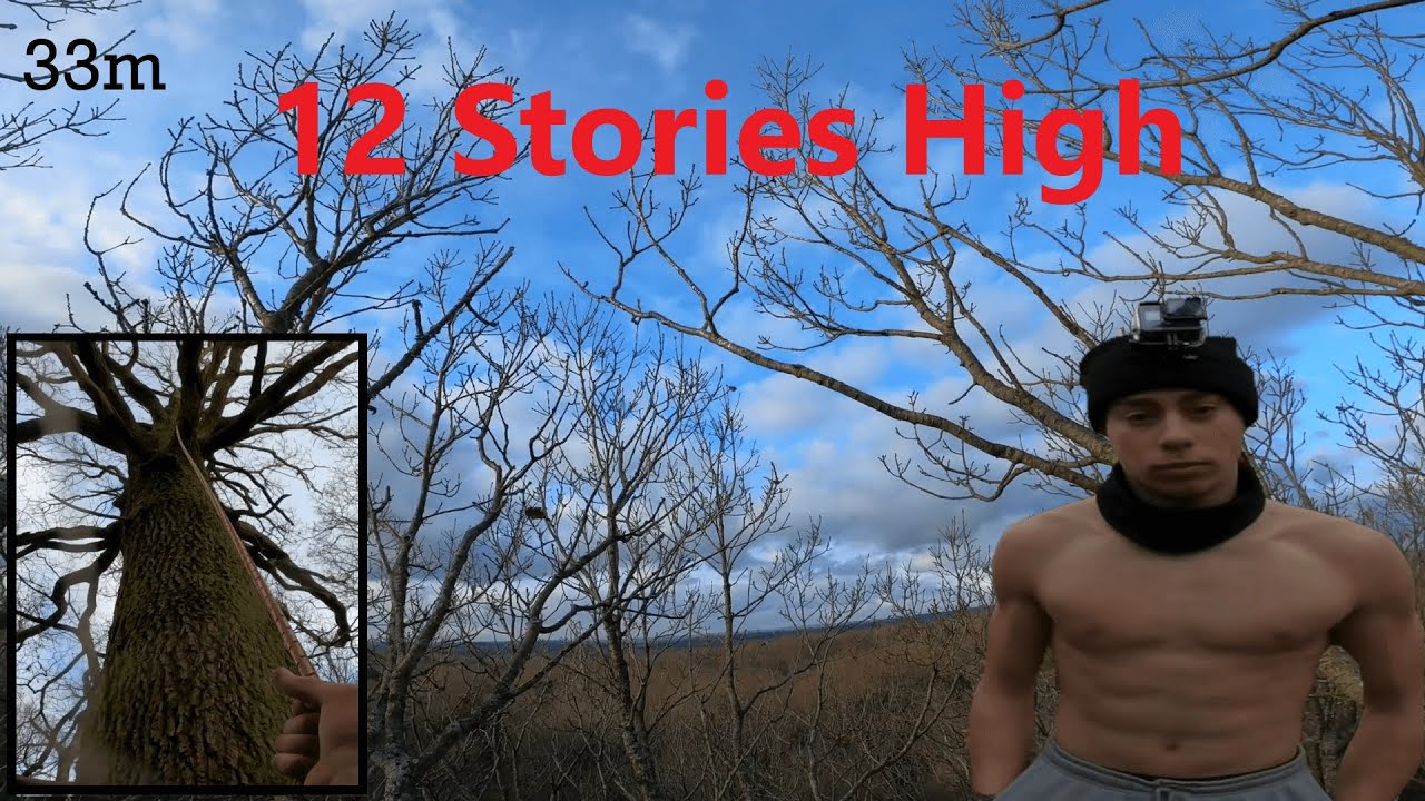 Climbing 12 STORY Tree | No Safety