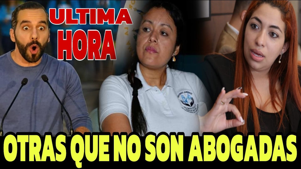 LAS DESCUBRIERON TAMPOCO SON ABOGADAS ,  SIGUEN ENGAÑANDONOS