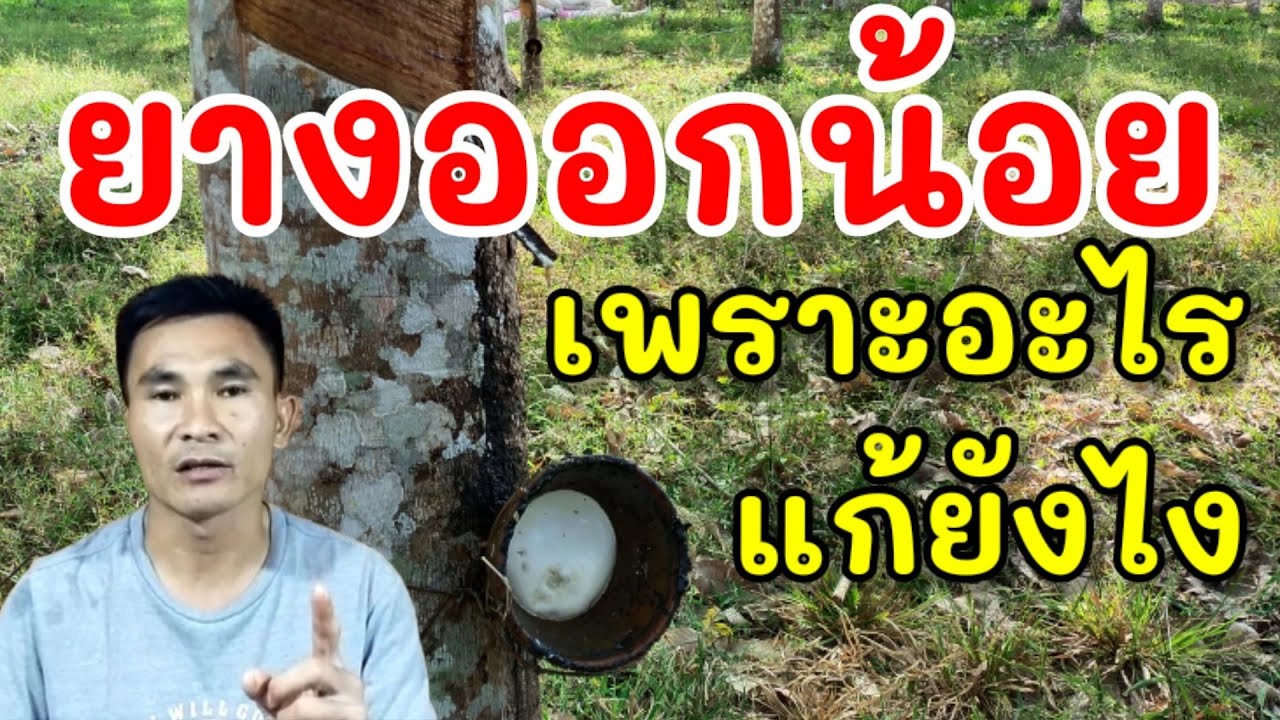 ยางออกน้อยเพราะอะไร จะแก้ยังไง