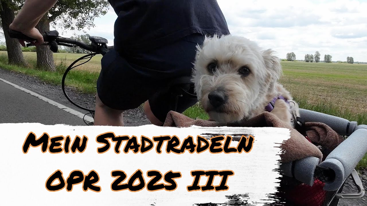 Mein Stadtradeln für die Fontane Radler - 3. Woche