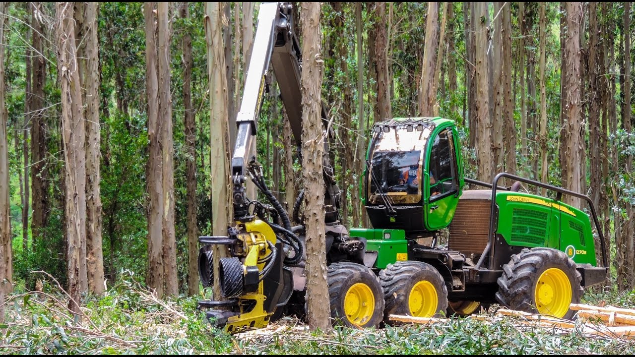 Harvester John Deere 1270E - Máquina de Colher Árvores
