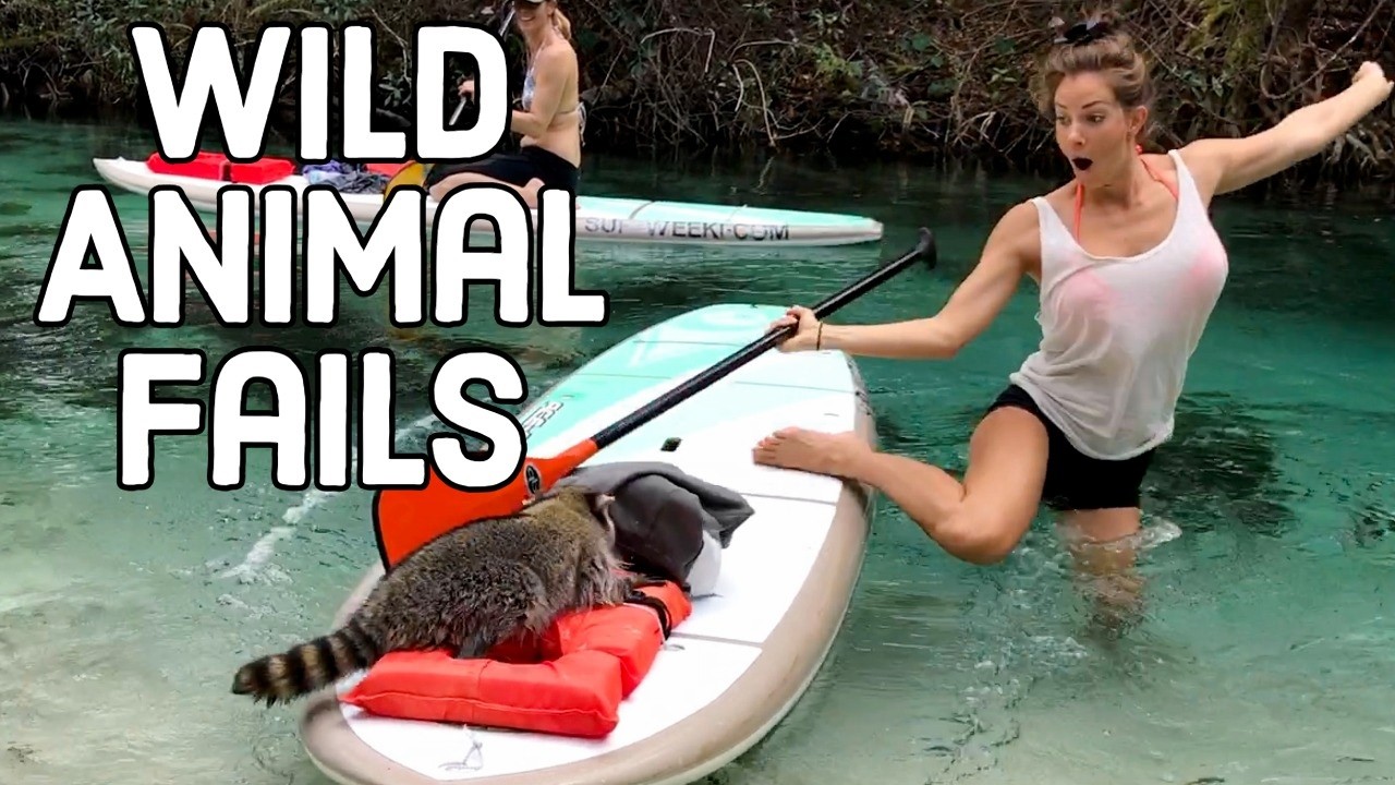 Best Wild Animal Fails | Out of Control Animals