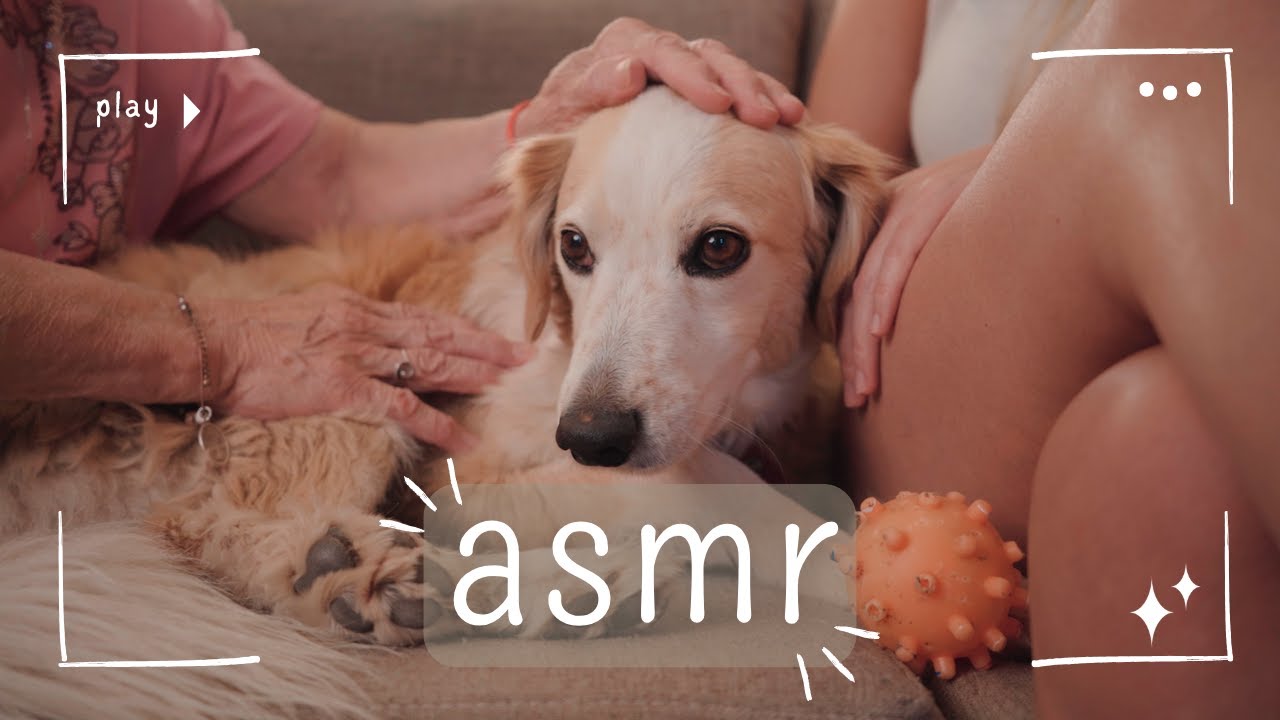 ASMR | Nona Delia le hace reiki a nuestro perrito 🐶🐾