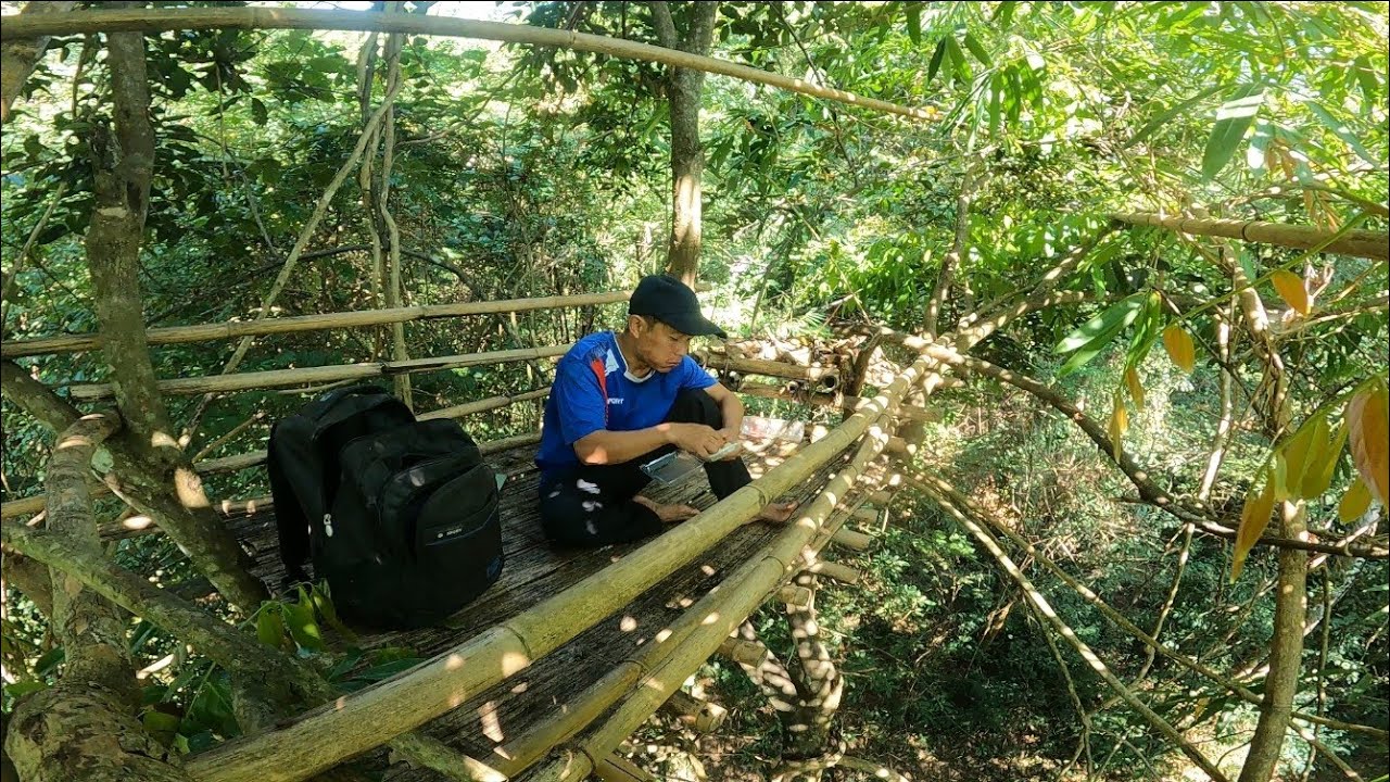 ไปเดินป่าแล้วได้กลับมานอนที่ห้างเถาวัน