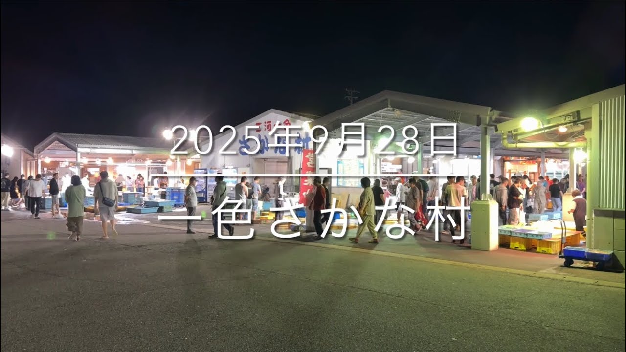 【奇跡の連続⁉︎】市場に５年通って遂に見つけた!『一色さかな村』衝撃的光景