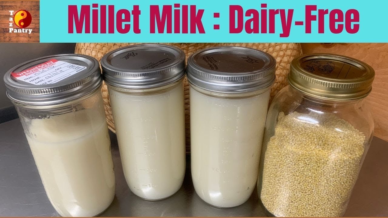 Millet Milk | A Powerful Dairy-Free Alternative Milk