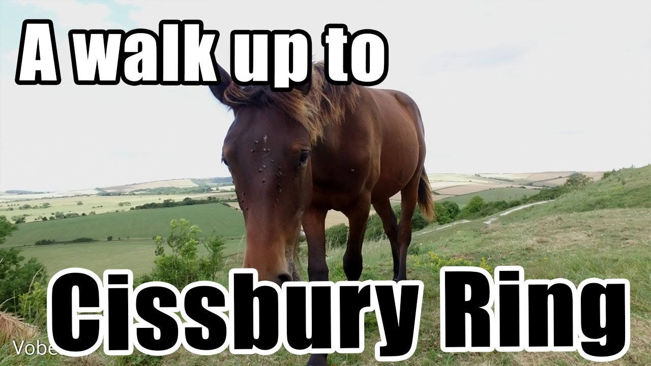 Walks in England:  Neolithic Flint Mines at Cissbury Ring and the Wild Horses