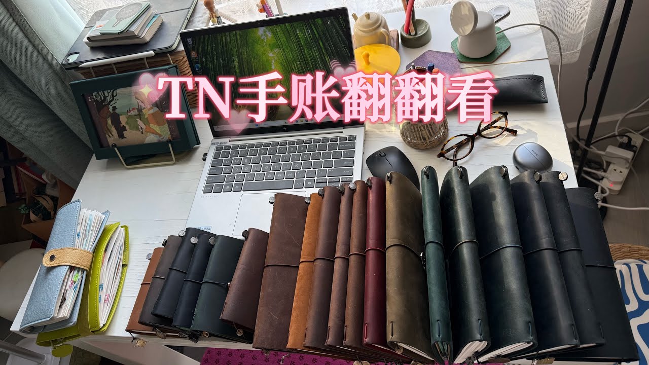 TN收集大展示｜翻翻看给TN做的手账｜TN挂坠分享