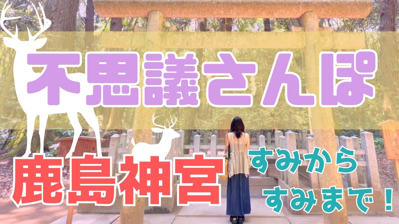 【不思議さんぽ】鹿島神宮編 ft.菌オタクで腸内細菌検査解説員+森の管理人で日本を繋げ歩く人