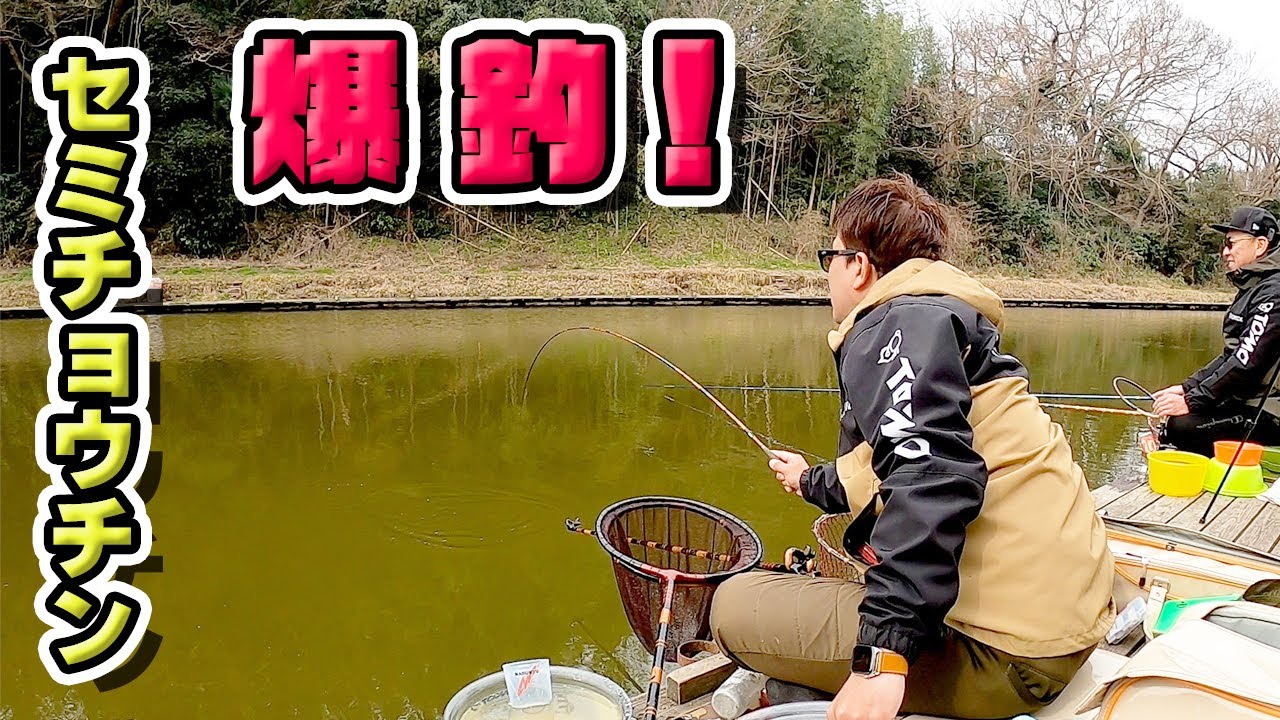 【高回転セット140】風にも強くキャストしやすい！セミチョウの棚で油断している魚を釣る！