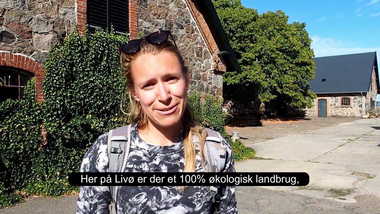 Livø - Ødysséen