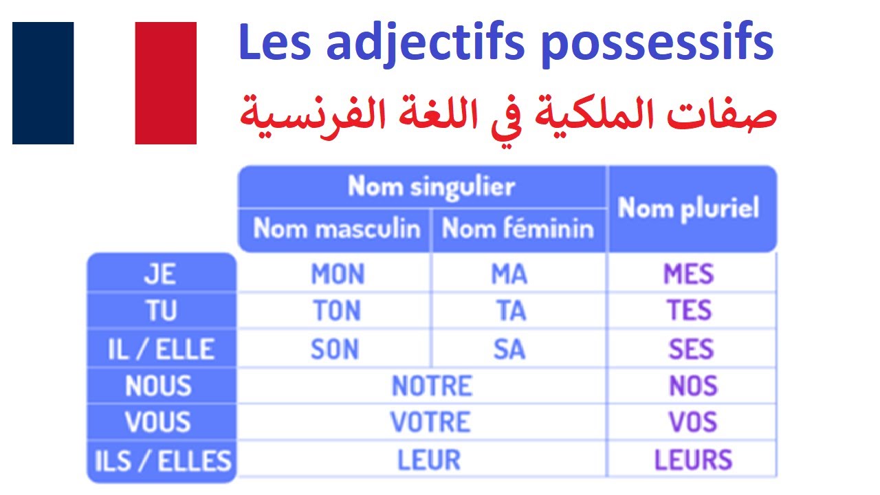 Les adjectifs possessifs - صفات الملكية في اللغة الفرنسية