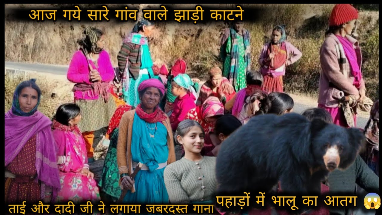 आज‌ सारे गांव वालो ने मिलकर काटी झाड़ियां ☺️🫰