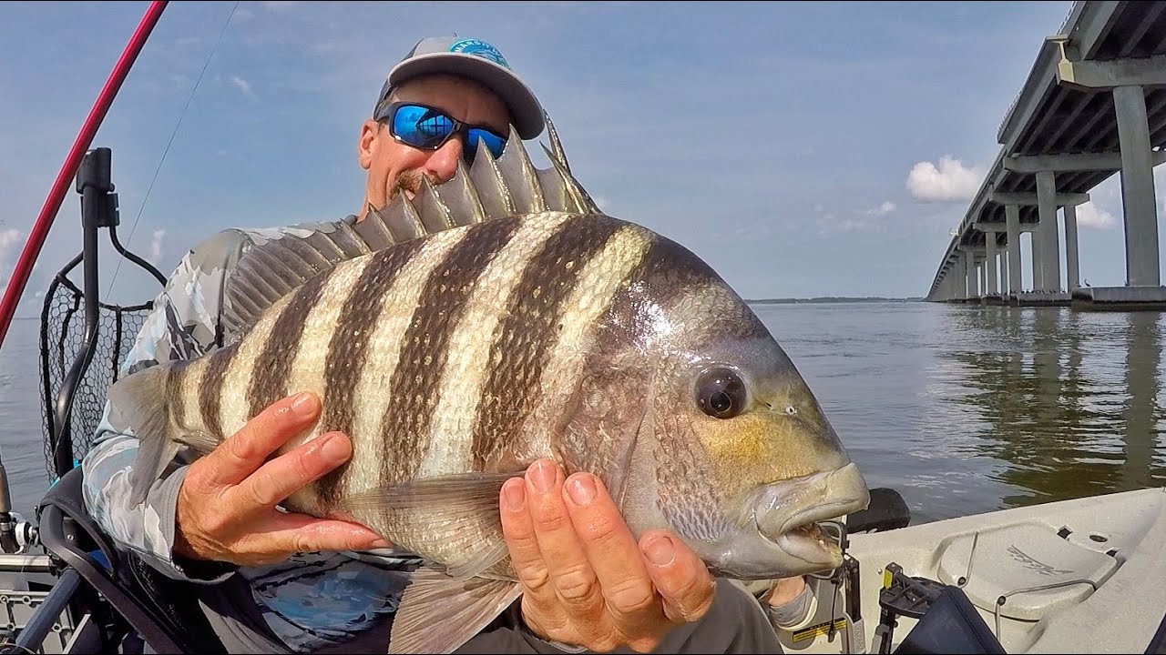 Kayak Fishing OBX NC Bridges for Whatever Bites