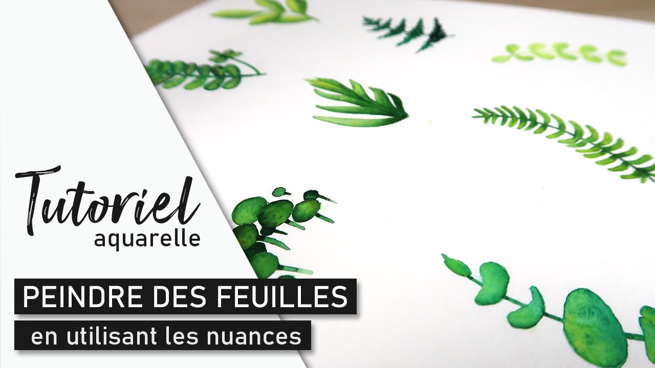 TUTO AQUARELLE Faire un herbier de feuilles (12 modèles)