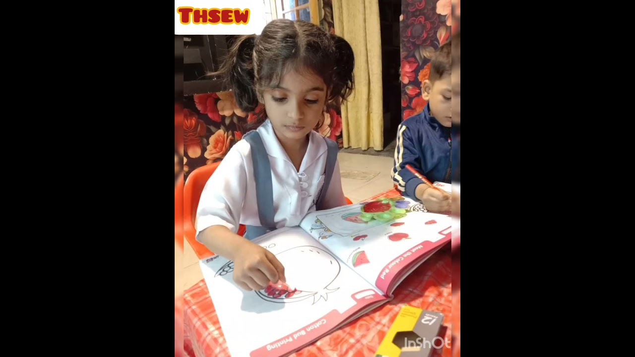 Colour Day Activity